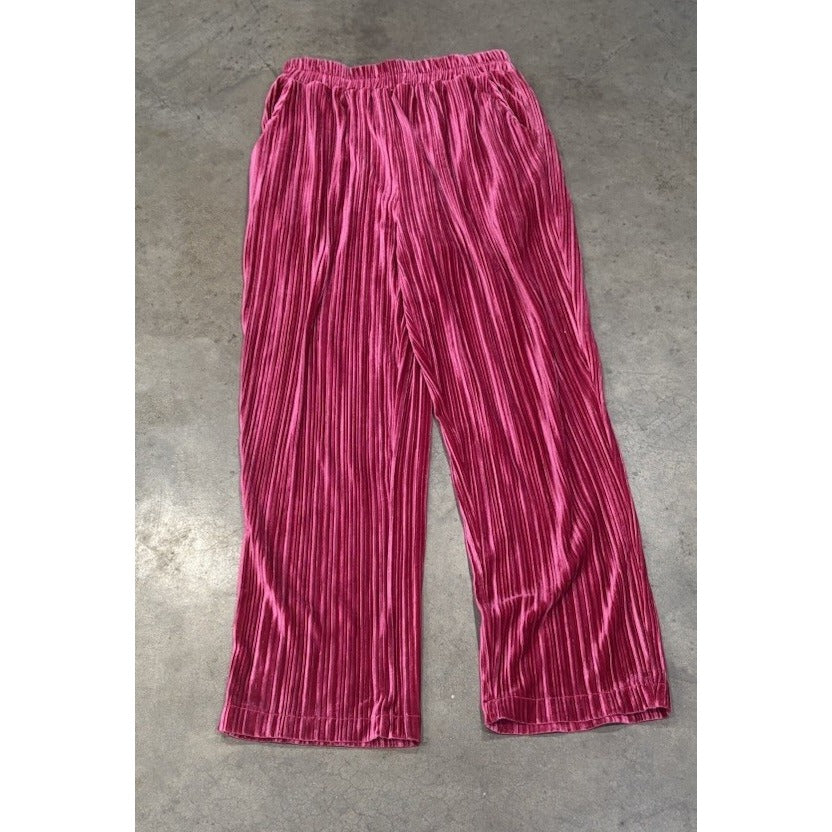 Boutique TCEC Velvet Wide Leg Pleated Pants MEDIUM(8-10) Hot Pink