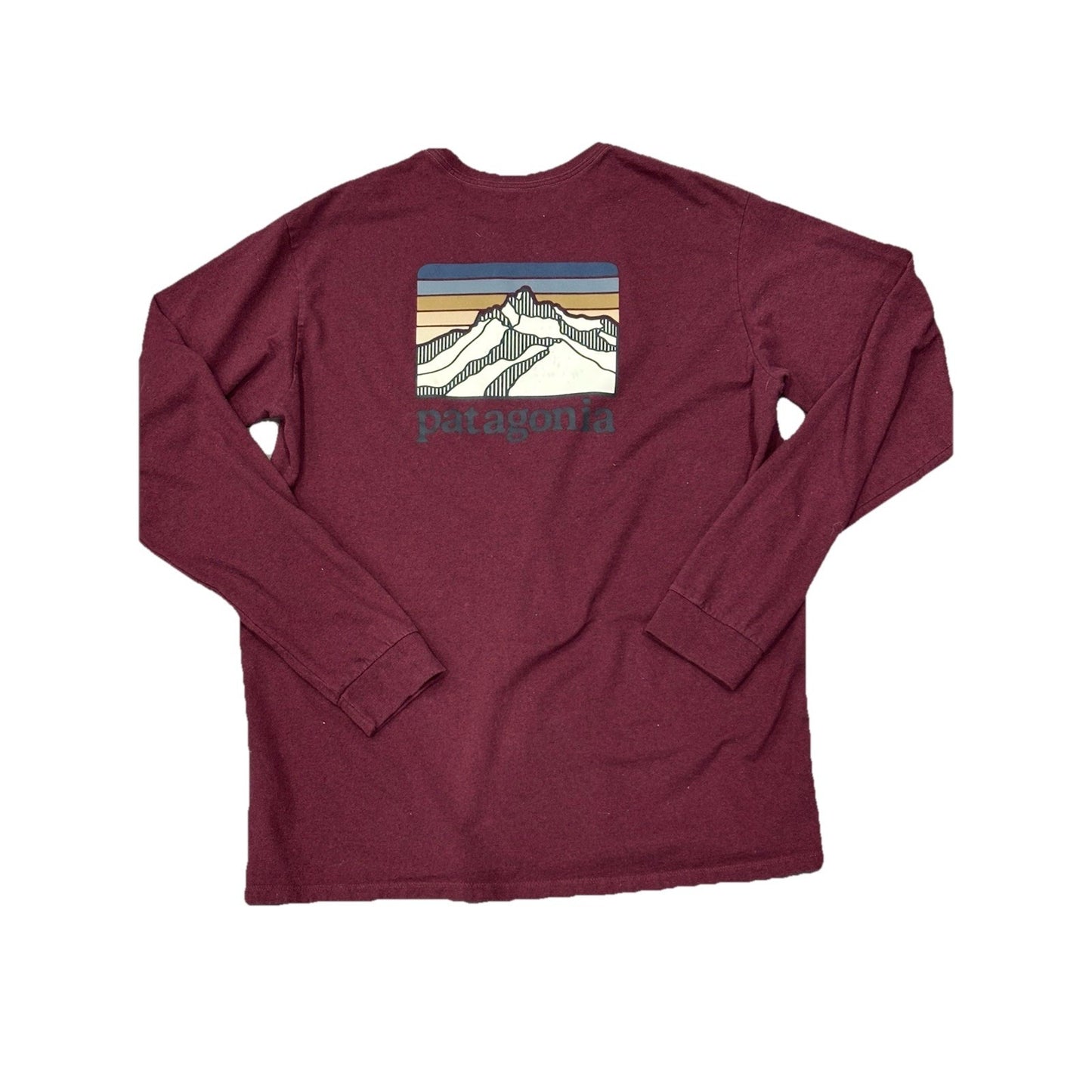 Patagonia Regular Fit Men's Responsiblli-tee Long sleeve Size Large Reverse Pic