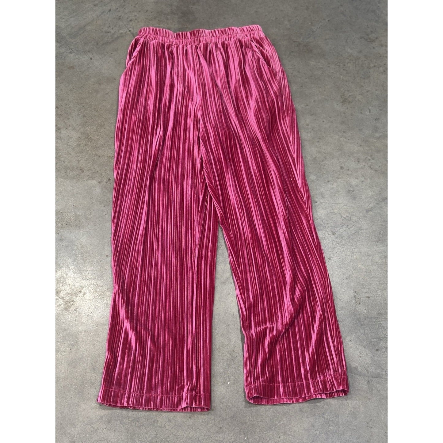 Boutique TCEC Velvet Wide Leg Pleated Pants MEDIUM(8-10) Hot Pink