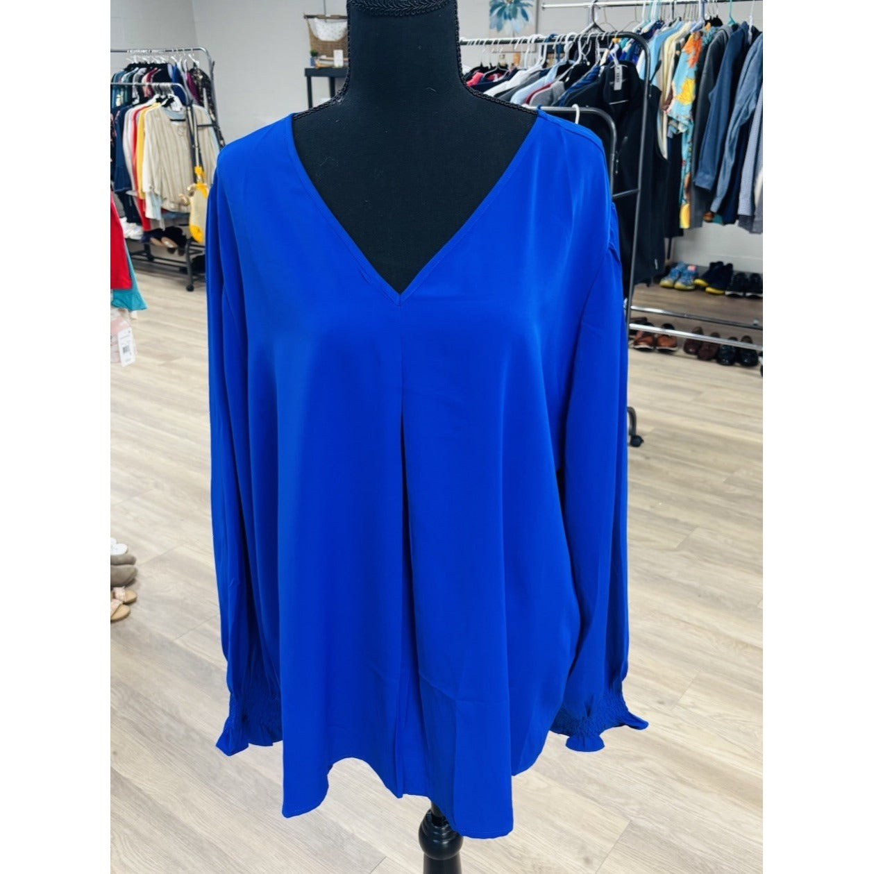 Funlingo Women’s 3XL Blouse, Long Sleeve Sleeve , Blue