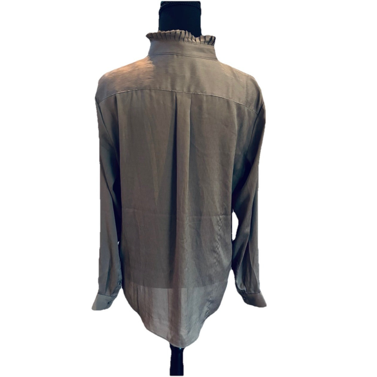 Banana Republic Accordian Ruffle Collar Shimmer Size Medium