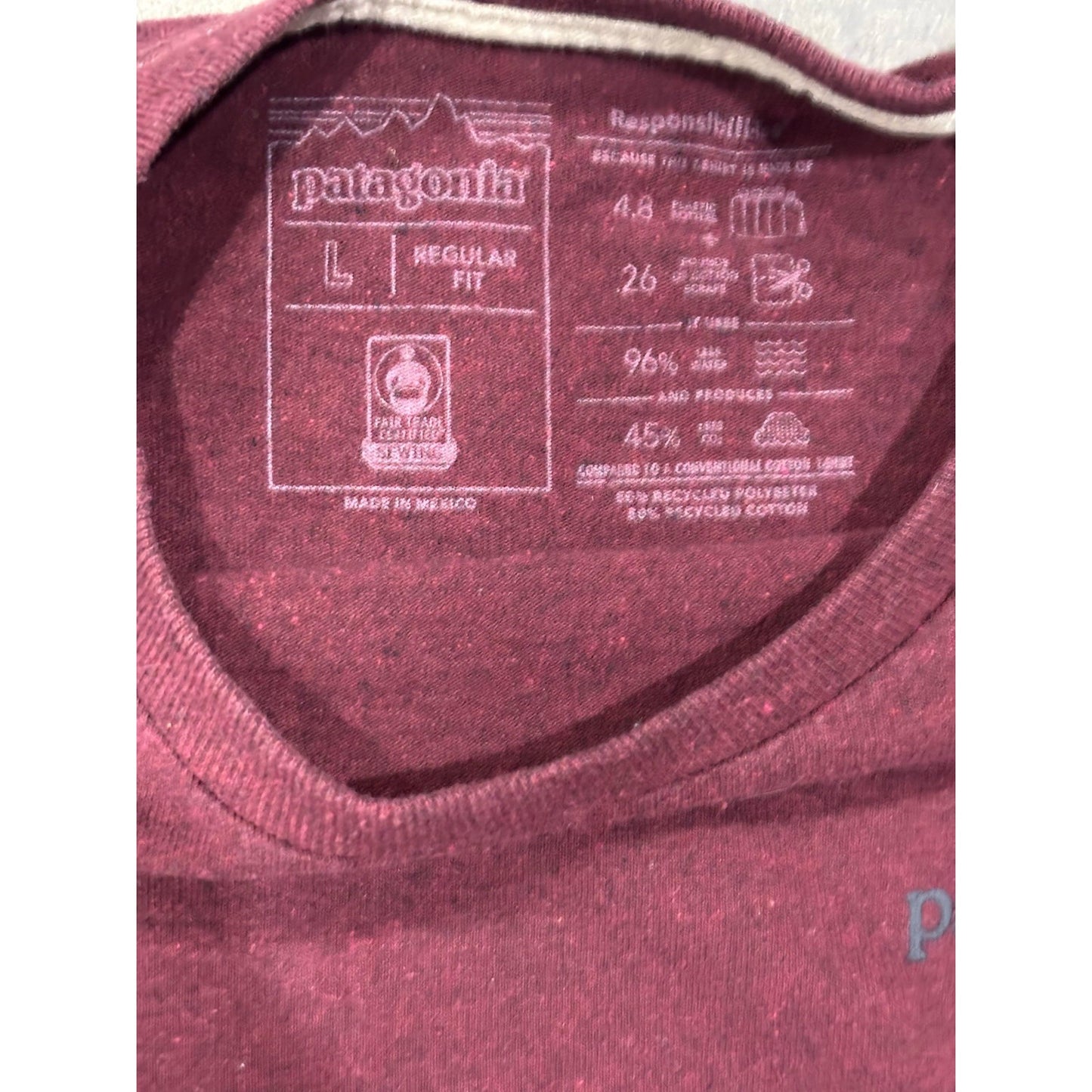 Patagonia Regular Fit Men's Responsiblli-tee Long sleeve Size Large Reverse Pic